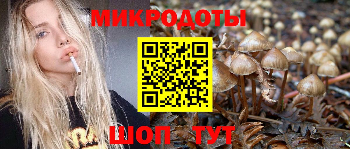 Псилоцибиновые грибы GOLDEN TEACHER Кудымкар